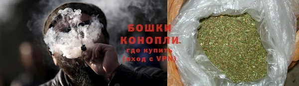 хмурый Белокуриха