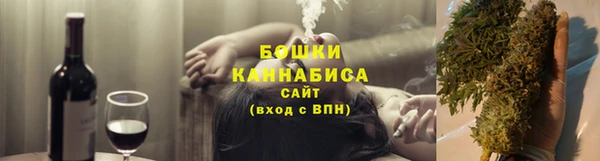 хмурый Белокуриха