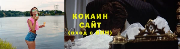 хмурый Белокуриха