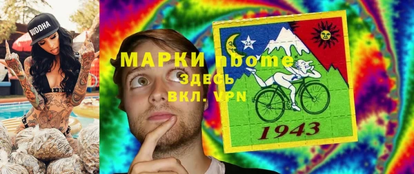 хмурый Белокуриха