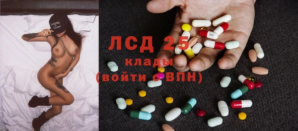 хмурый Белокуриха