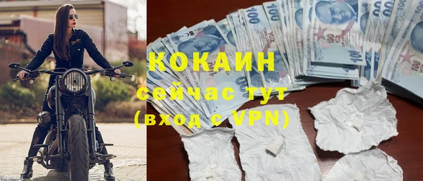 хмурый Белокуриха