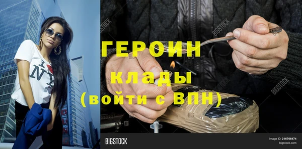 хмурый Белокуриха