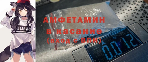 хмурый Белокуриха