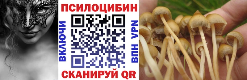 сколько стоит  Облучье  Псилоцибиновые грибы мухоморы 